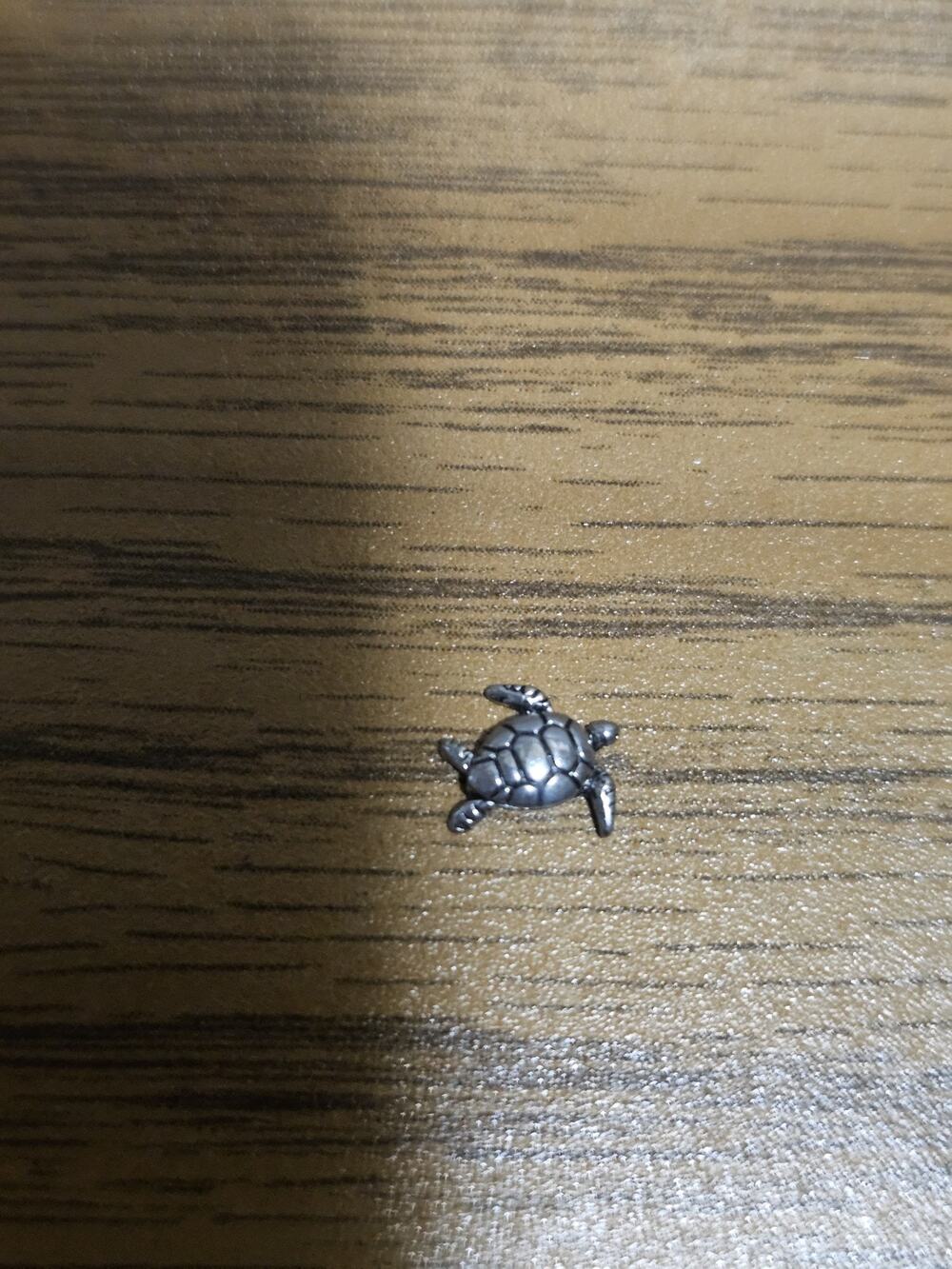 Origami Owl Charm Turtle